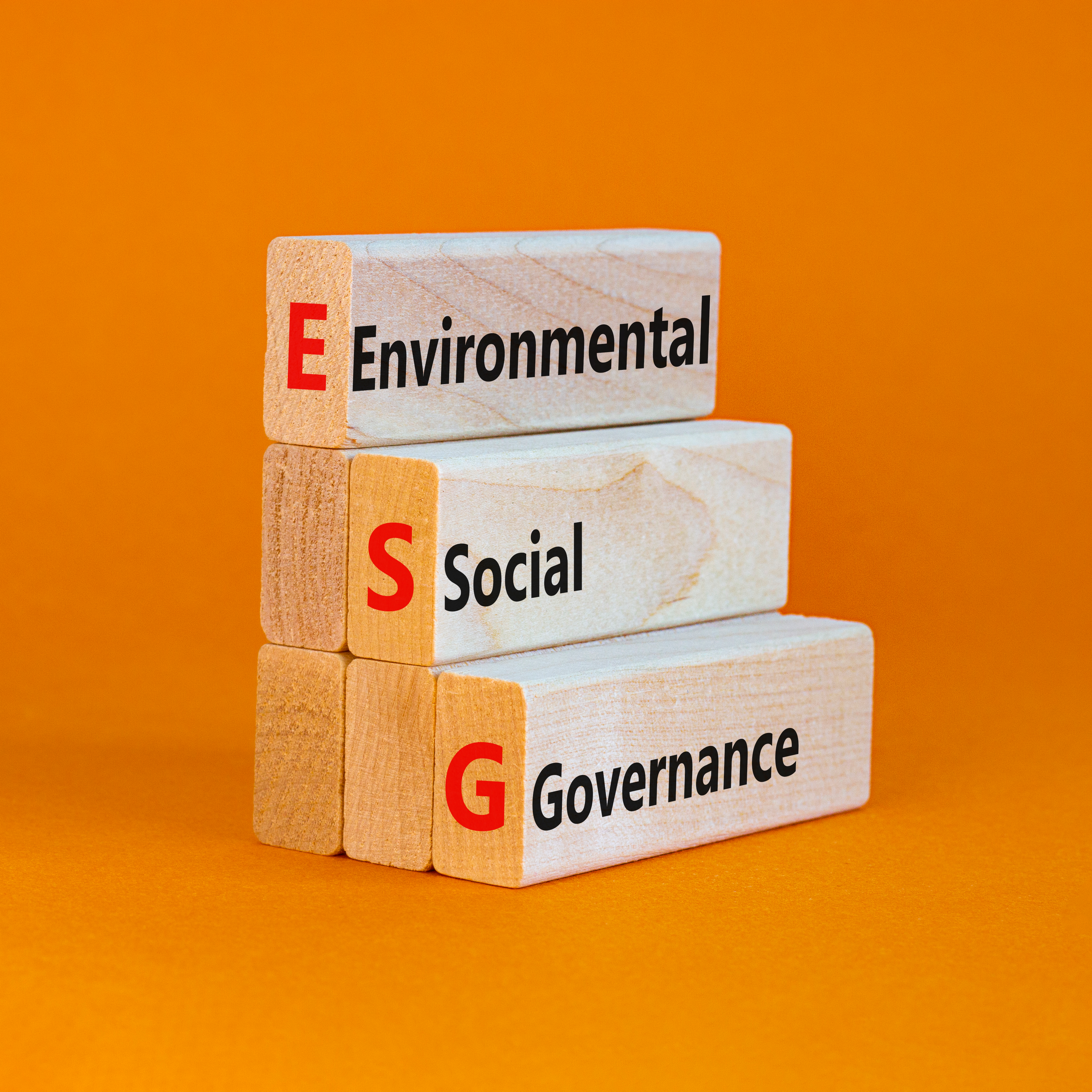 Blocks that say ESG on them